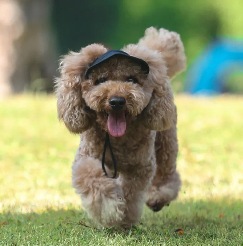 🔥Outdoor-Sonnenschutzhaube für Hunde