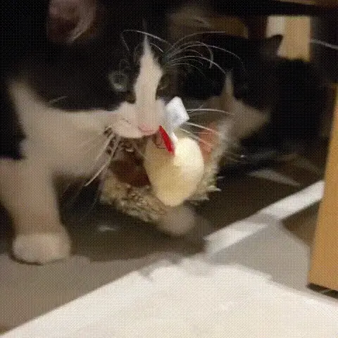 Simulation Elektrischer Spatz Schüttelvogel