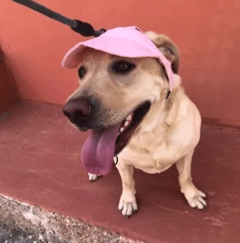 🔥Outdoor-Sonnenschutzhaube für Hunde