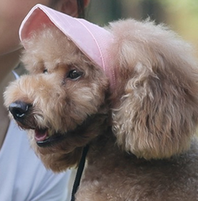 🔥Outdoor-Sonnenschutzhaube für Hunde