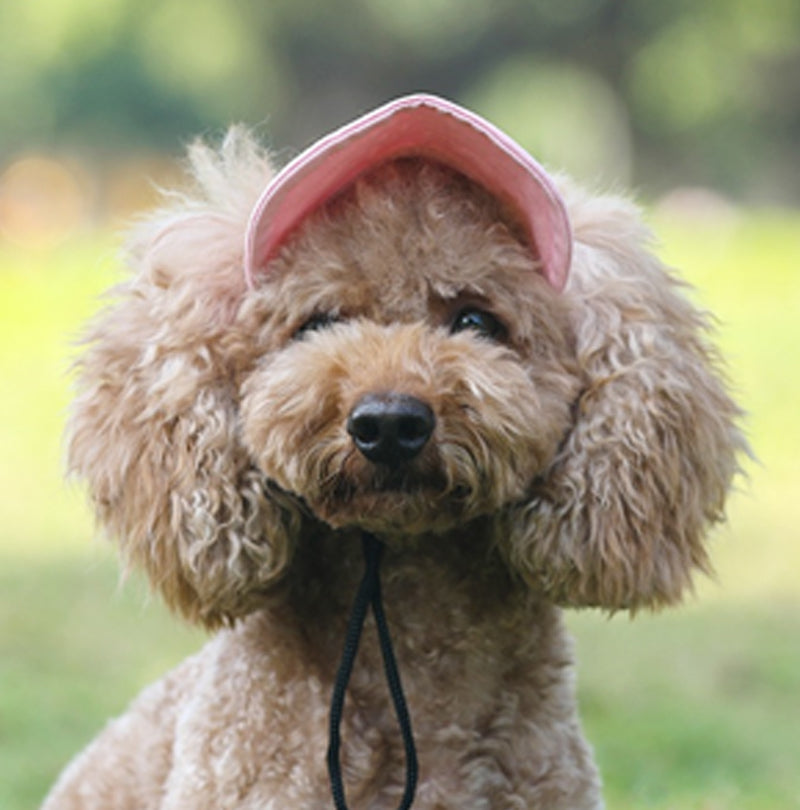 🔥Outdoor-Sonnenschutzhaube für Hunde