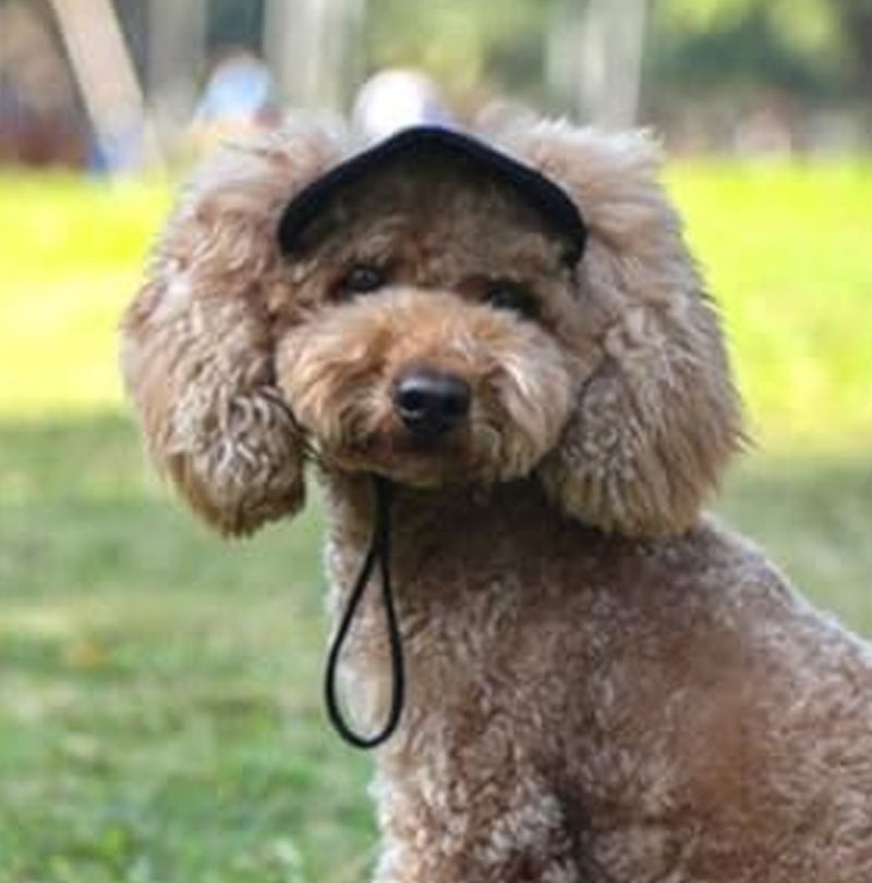 🔥Outdoor-Sonnenschutzhaube für Hunde