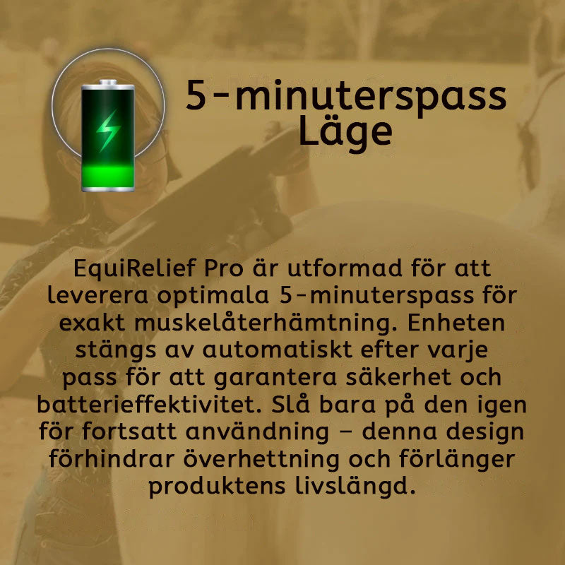 8 Köpfe Pferdemassagepistole