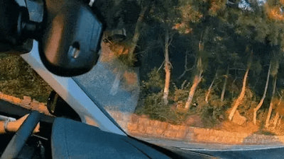 ADAS 360 DashCam | Schützen Sie, was wichtig ist 👪