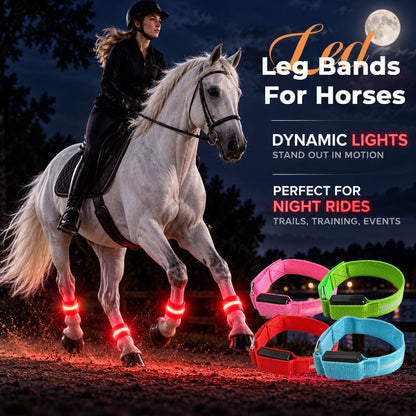 🐎LED-Beinbänder für Pferde | Gut sichtbare, leuchtende Beinbänder für das Reiten bei Nacht