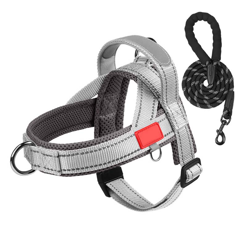 Hundegeschirr + kostenloses Band 1,5 m x 1,0