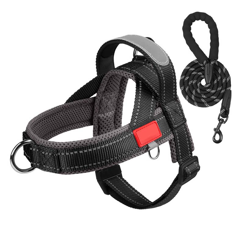 Hundegeschirr + kostenloses Band 1,5 m x 1,0