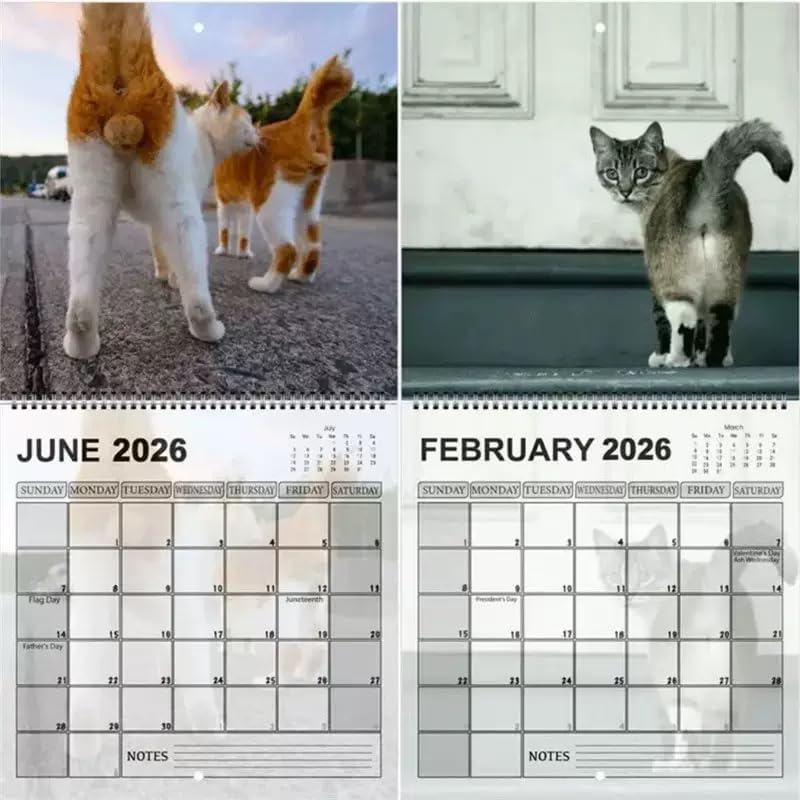 🔥LETZTER TAG 49 % RABATT – 🐈2026 Lustiger Kalender mit Katzenhinter