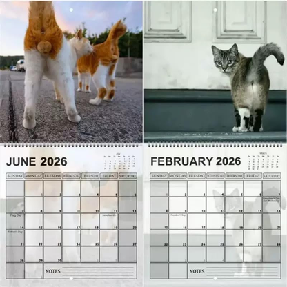 🔥LETZTER TAG 49 % RABATT – 🐈2026 Lustiger Kalender mit Katzenhinter