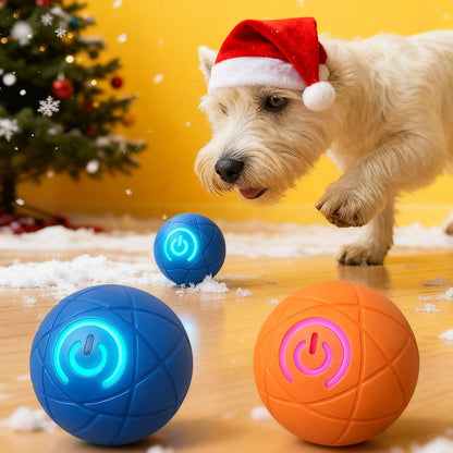 🎁 Eine Weihnachtsüberraschung für Ihren Liebling! ✨ Hüpfball für Katzen 🐱 und Hunde 🐶