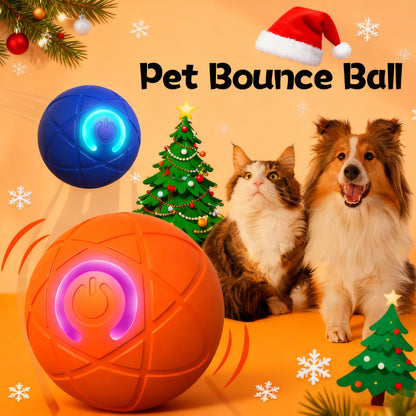 🎁 Eine Weihnachtsüberraschung für Ihren Liebling! ✨ Hüpfball für Katzen 🐱 und Hunde 🐶