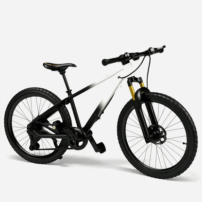 Sammlerstück: Mountainbike-Modell aus Metalllegierung mit Vorder- und Hinterradfederung