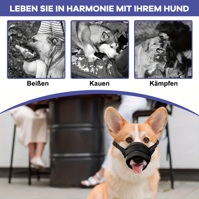 🐾 Hundemaulkorb – Sicher, Bequem & Atmungsaktiv