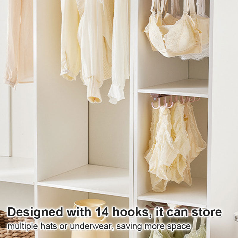 Ausziehbarer, verschiebbarer Schrank-Organizer