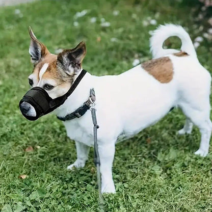 🐾 Hundemaulkorb – Sicher, Bequem & Atmungsaktiv