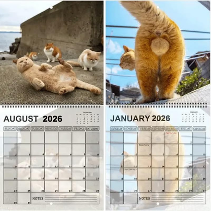 🔥LETZTER TAG 49 % RABATT – 🐈2026 Lustiger Kalender mit Katzenhinter