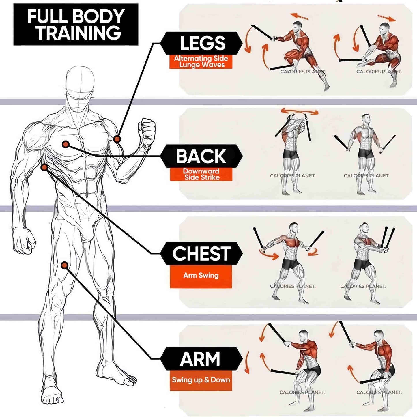 💥 Intensives Fitness-Training mit Seilen | Perfekt für Zuhause und Fitnessstudio 🏠