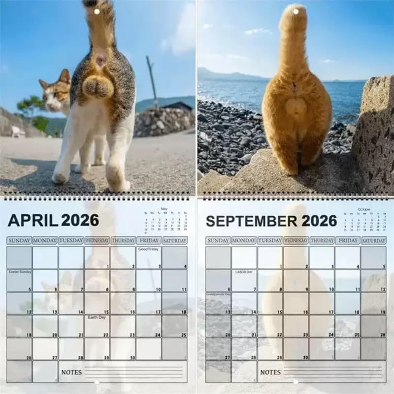 🔥LETZTER TAG 49 % RABATT – 🐈2026 Lustiger Kalender mit Katzenhinter