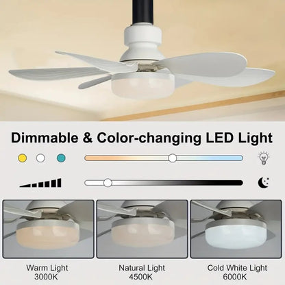 ⏳SOMMER-SCHLUSSVERKAUF 60 % RABATT🔥40-W-LED-Deckenventilator mit Beleuchtung – 20,5 Zoll, extrem leise, mit Fernbedienung 🎯 | E27 + KOSTENLOSER B22-Adapter 🔌 | Für Schlafzimmer 😴, Küche 👩‍🍳 und Garage 🛠️